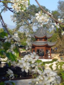 Pavillion @ Chinese Garden, Huntingto Library and Gardens Pavillion @ Chinese Garden, Huntingto Library and Gardens