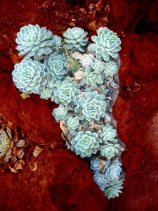 Detail World|Mug Project, Digital Manipulation/Photograph. 2009 Detail World|Mug Project, Digital Manipulation/Photograph. 2009