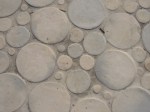 Detail of Paving. Queen Califia’s Garden. Digital Photo. Spring 2009