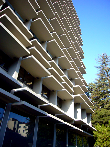 COLLEGEENVDESIGN Detail of Interior Courtyard Elevation- College of Environments