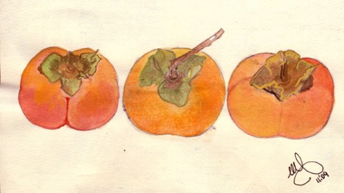 November Persimmons