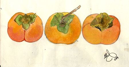 unwrinkled_persimmons_small_web