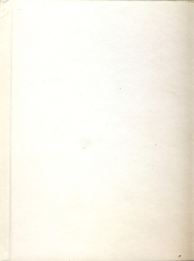 blank_canvas_small_web