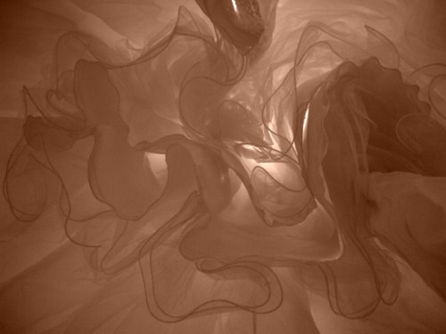 Gossamer1_FINAL_small_web