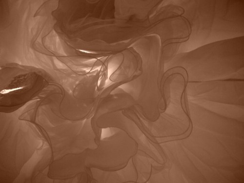 Gossamer2_FINAL_small_web