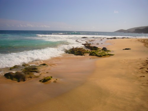 P1060558 O'ahu, Hawai'i. Sandy Beach Park. March 23, 1010. Photograph, Panasonic Lumix DMC-FX01, Leica Wide Lens.
