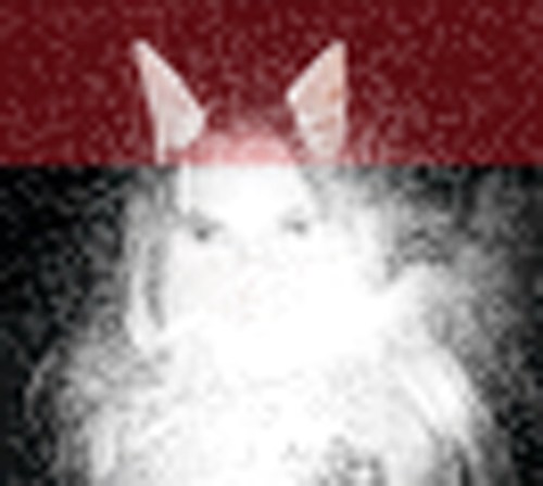 experimentjealousy1_small