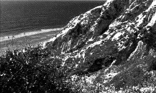 torreypines-bw-web