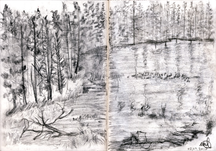 charcoal-web Yosemite. Charcoal on paper. July 2010 (date is in Italian)