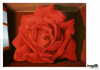 magritte-rose