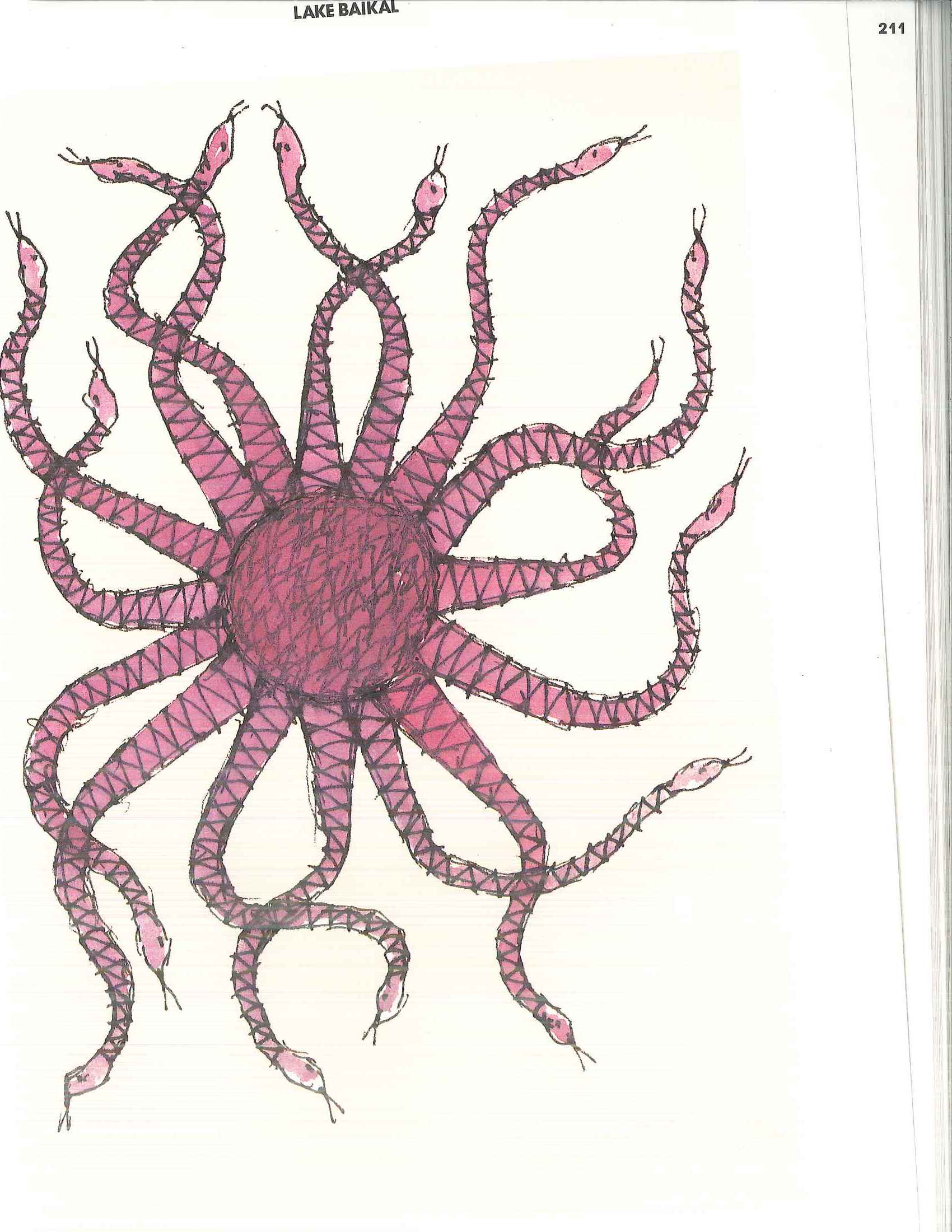 20101103232431879_0005