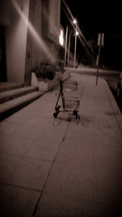 IMAG0946-1.jpg image