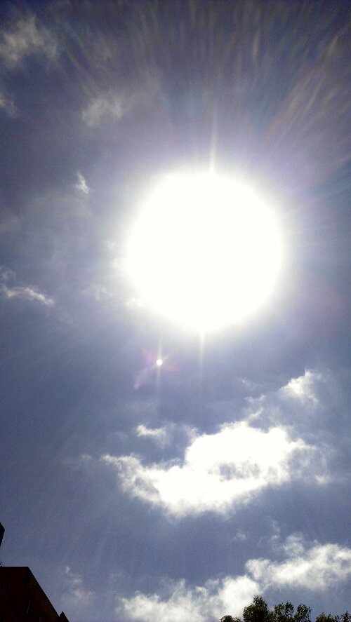 IMAG3635-1.jpg image