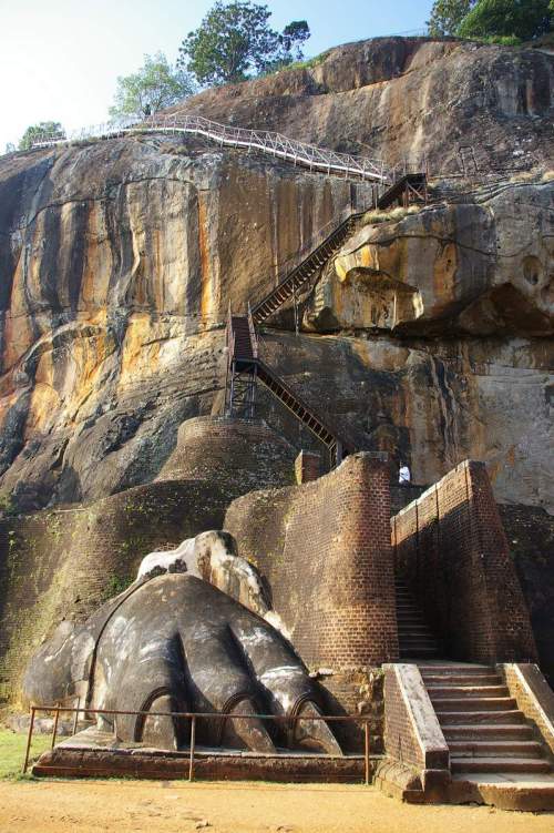 Sigirya. A giant turtle?