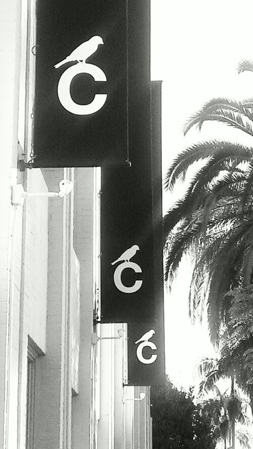 IMAG4490-1.jpg image