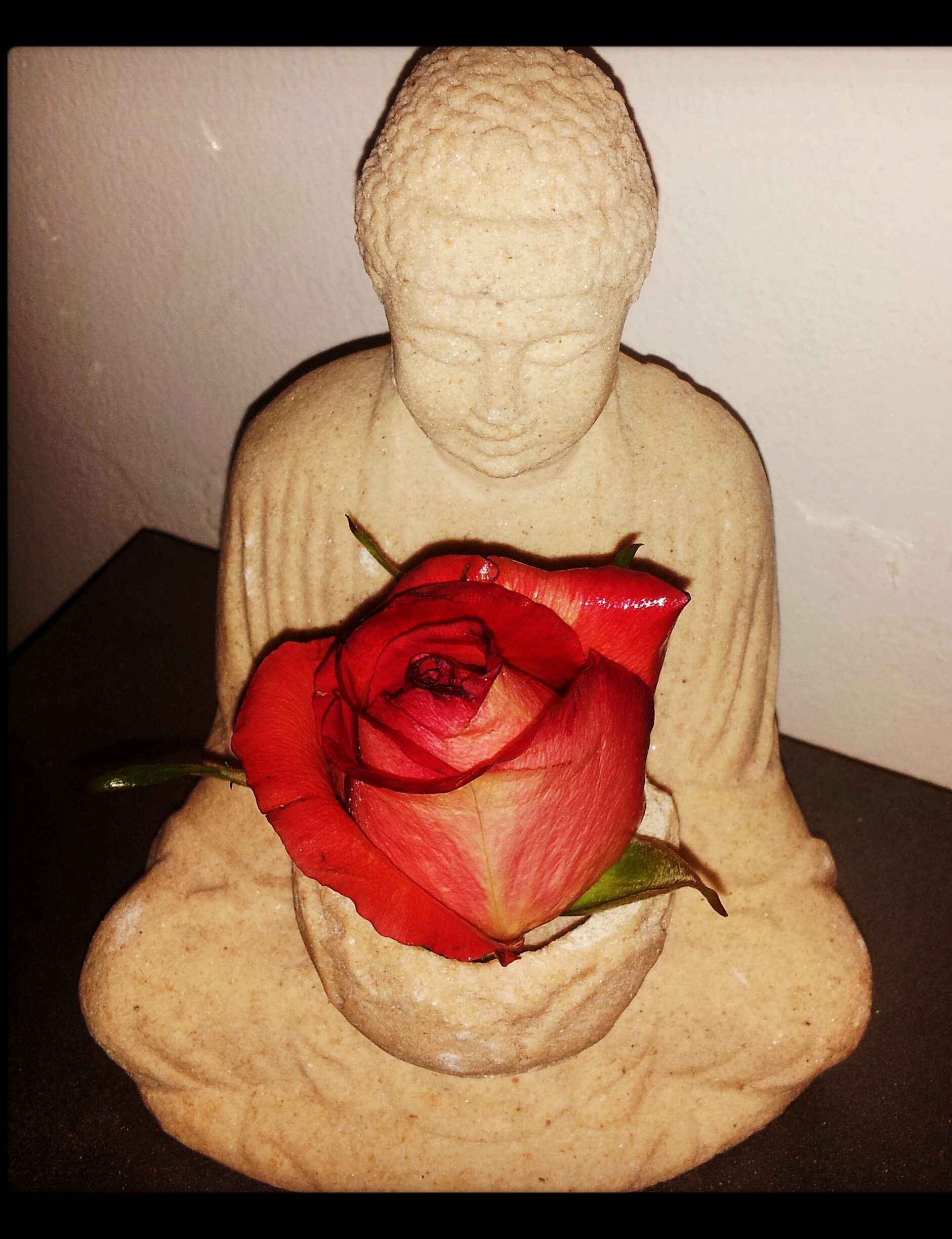 IMG_20140421_044741-1.jpg image