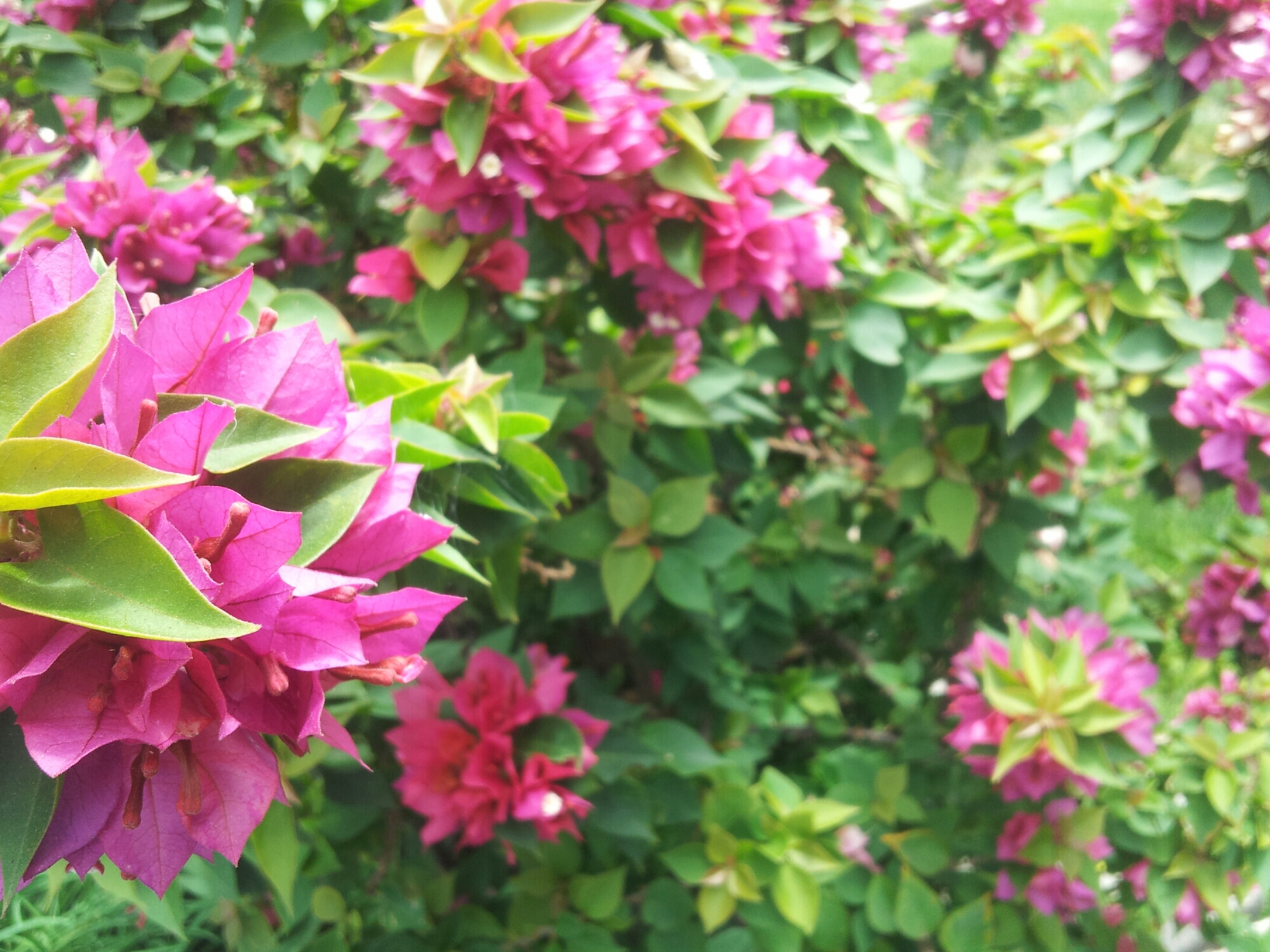 20140420_122841.jpg image