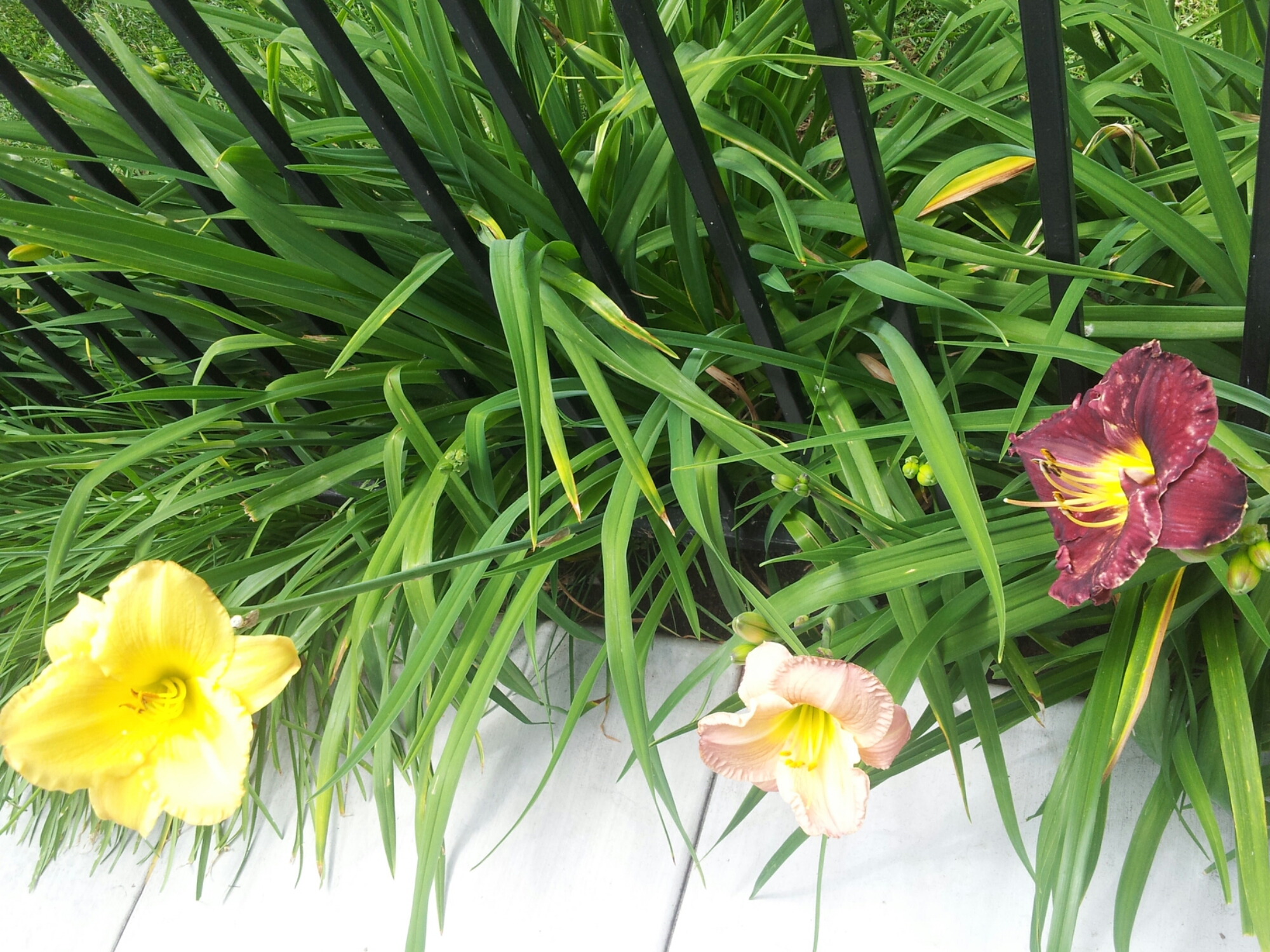 20140420_122925.jpg image