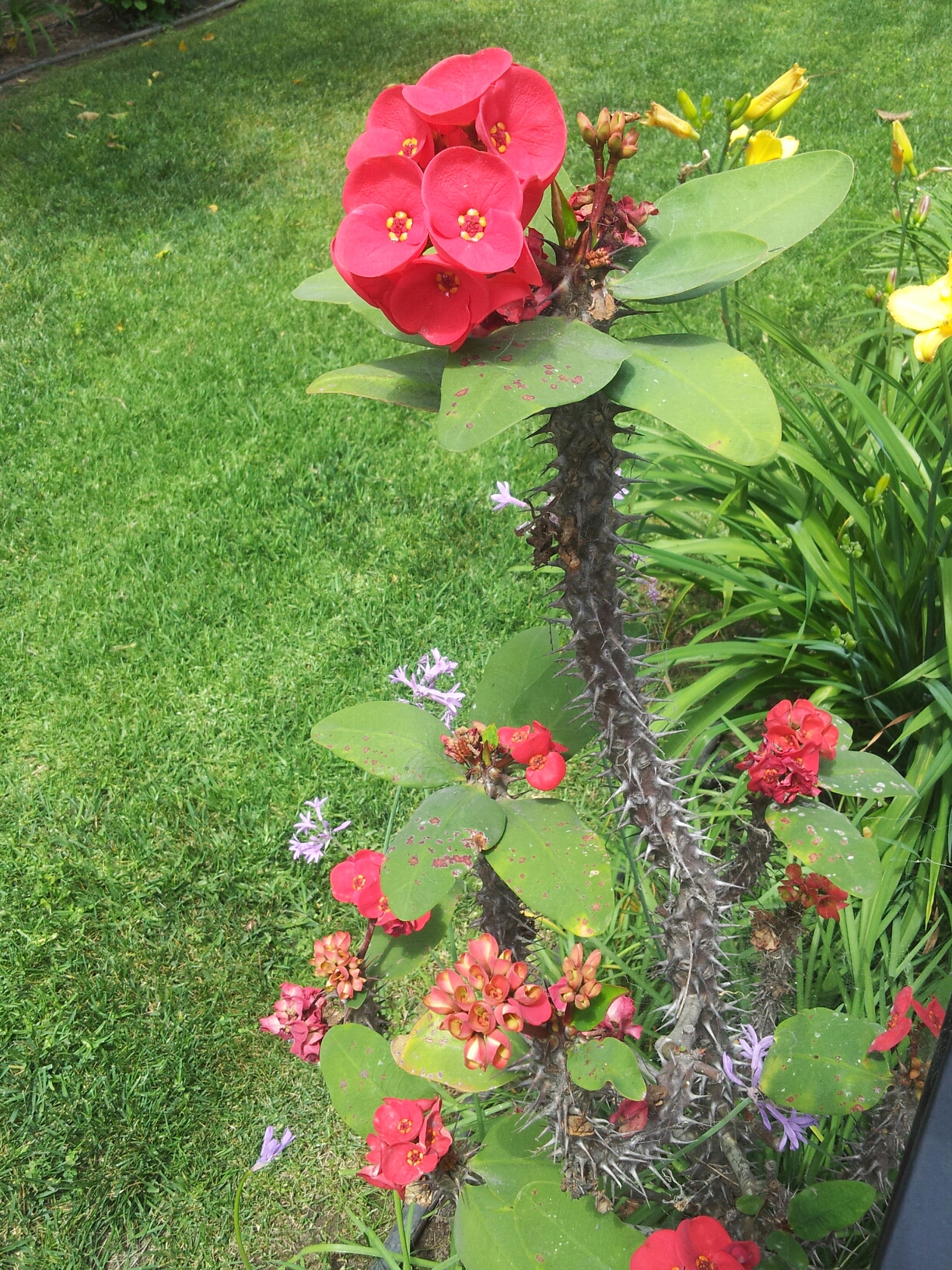 20140420_122955.jpg image