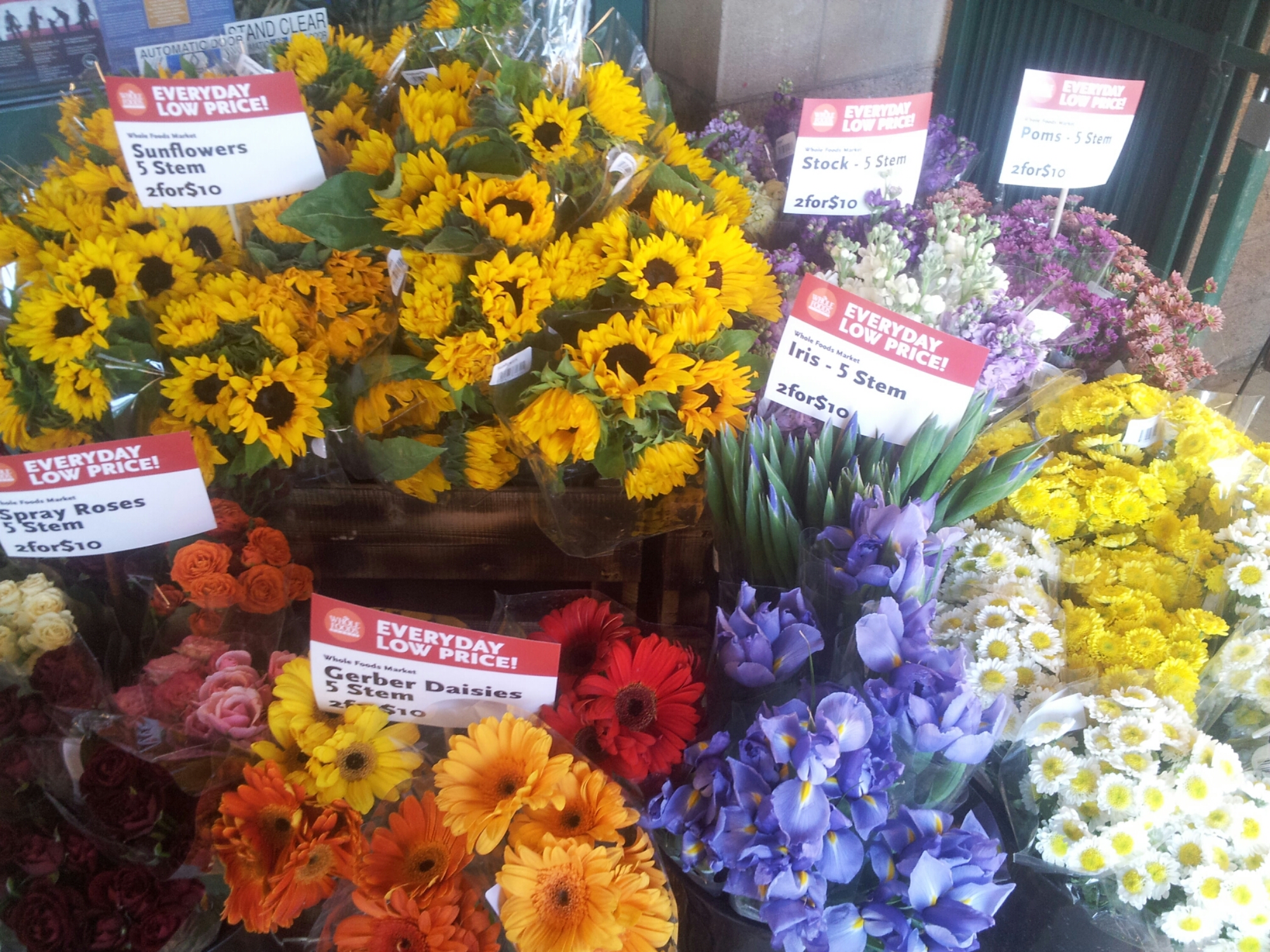 20140420_170232.jpg image