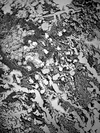 fisher-tears_momentum.jpeg image