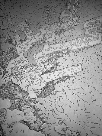 fisher-tears_remembrance.jpeg image