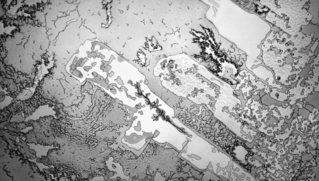 fisher-tears_reunion.jpeg image