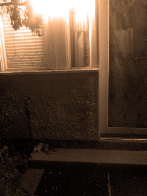 These Rocks Were Put Together By Cats {American Officer}