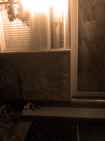 These Rocks Were Put Together By Cats {American Officer}