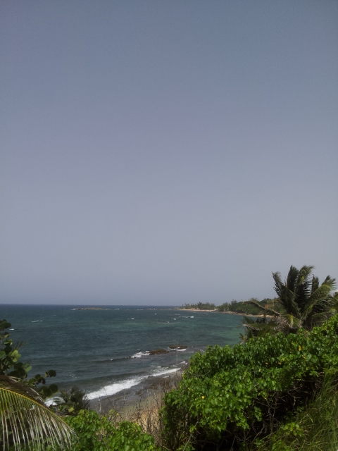 20140626_141524.jpg image