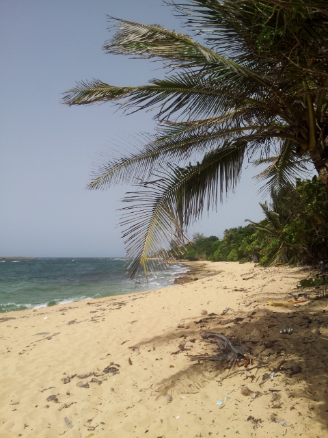 20140626_142930.jpg image