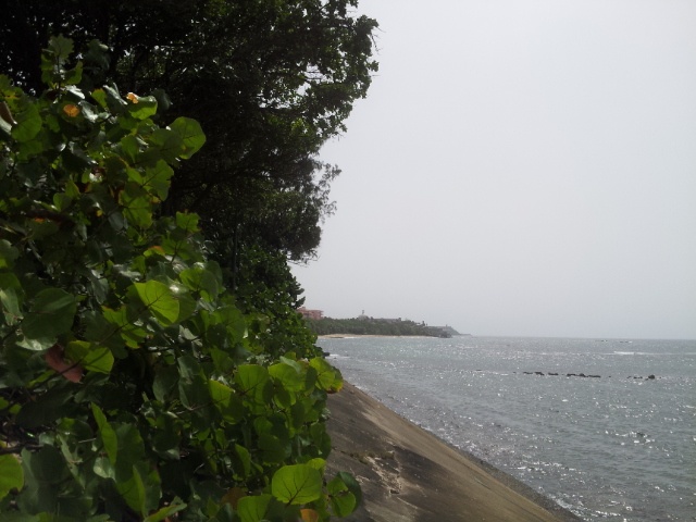 20140626_144838.jpg image