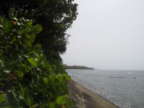 20140626_144838.jpg image