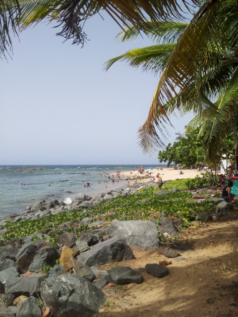 20140626_145703.jpg image