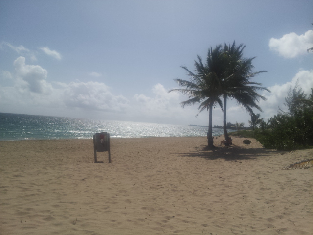 20140628_092242.jpg image