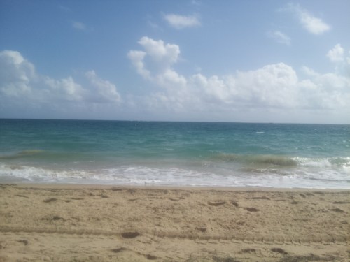 20140628_092511.jpg image