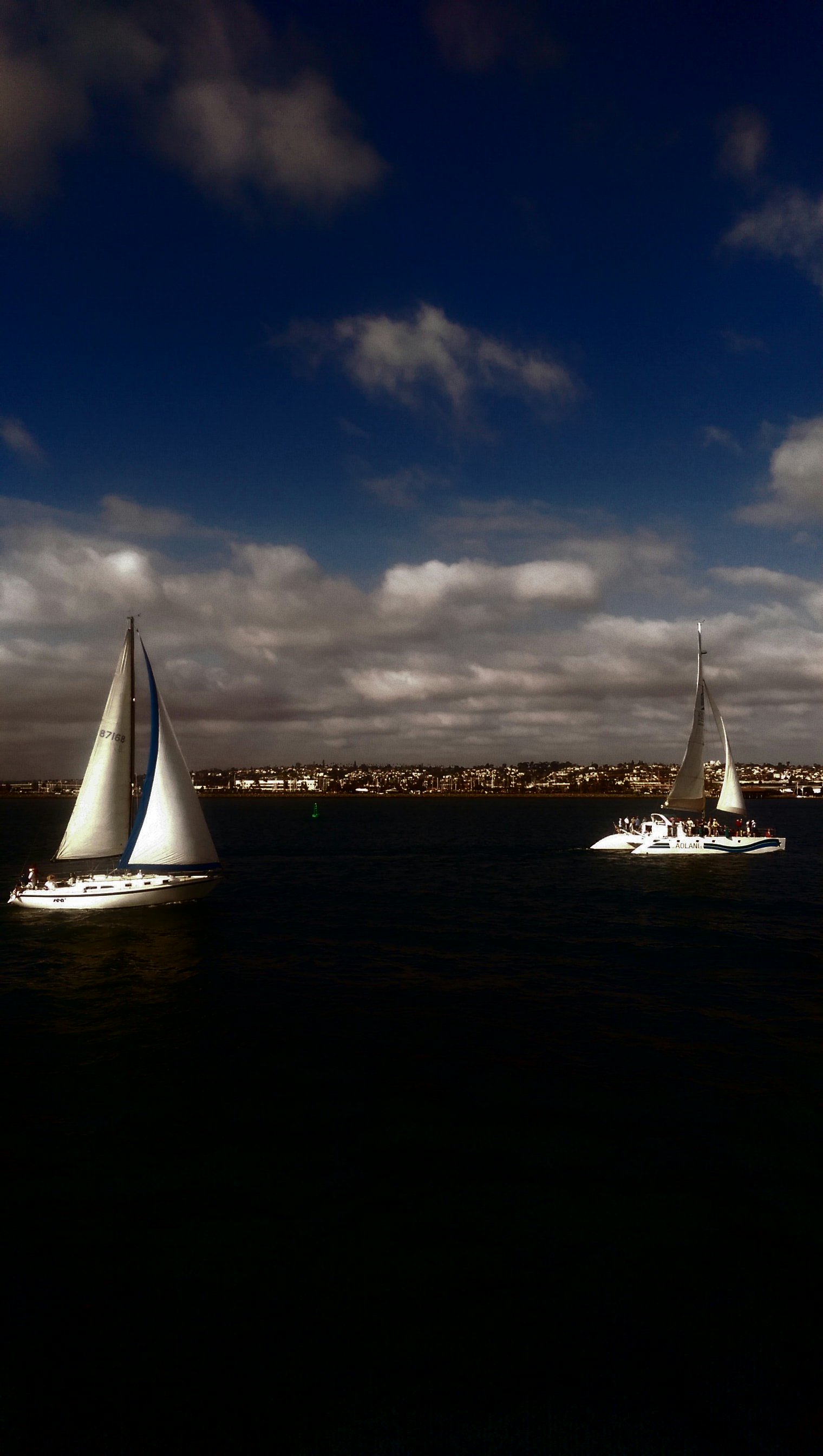 IMAG3752_1.jpg image