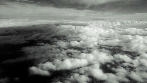 IMAG4482_1_1.jpg image