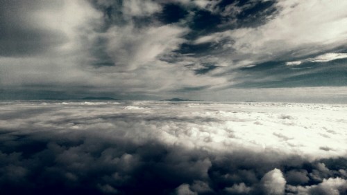 IMAG4489_1.jpg image