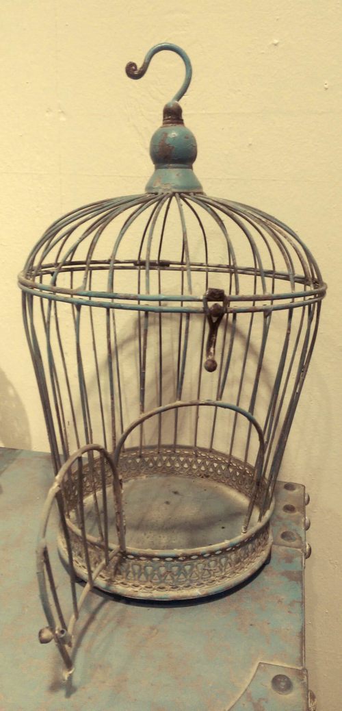 IMAG5104_BURSTSHOT002_1_1_1.jpg image