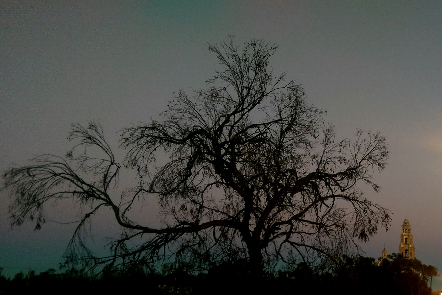 IMAG5999_1_2.jpg image