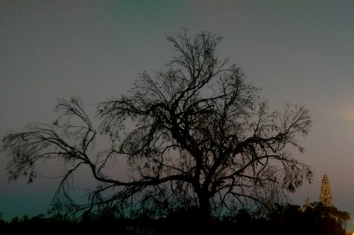 IMAG5999_1_2.jpg image