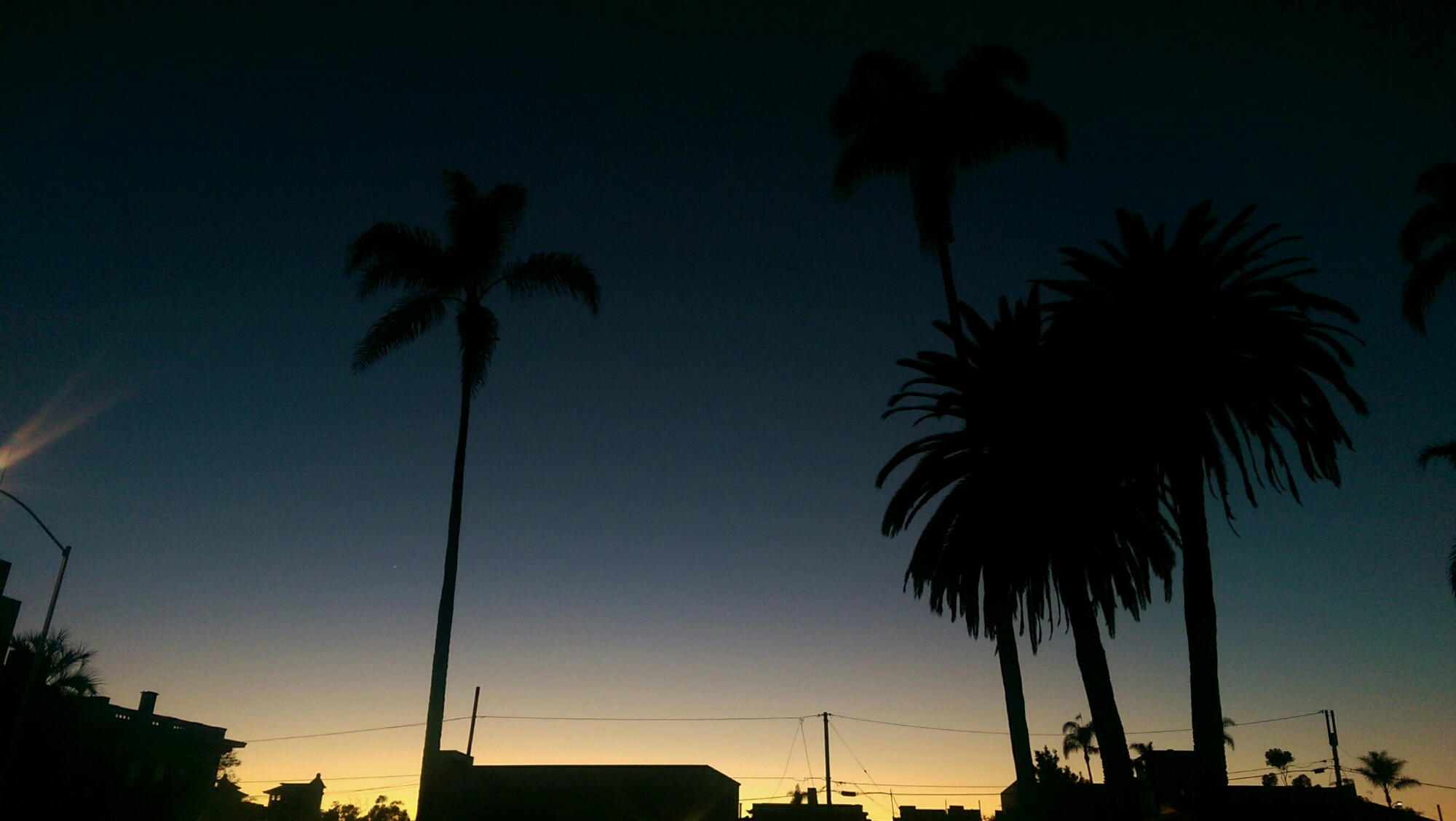 IMAG6013_1.jpg image