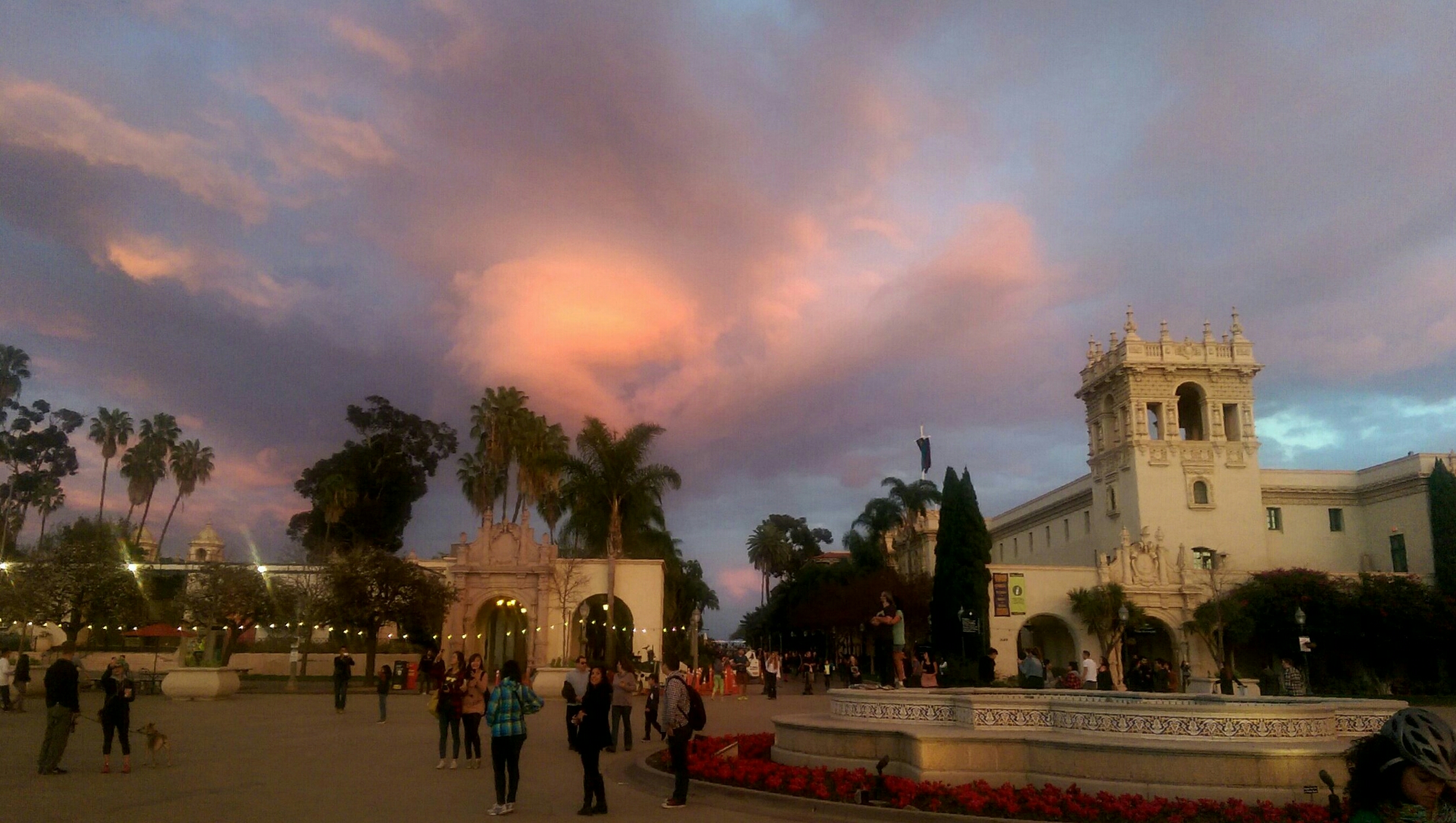 IMAG6386_1_1.jpg image