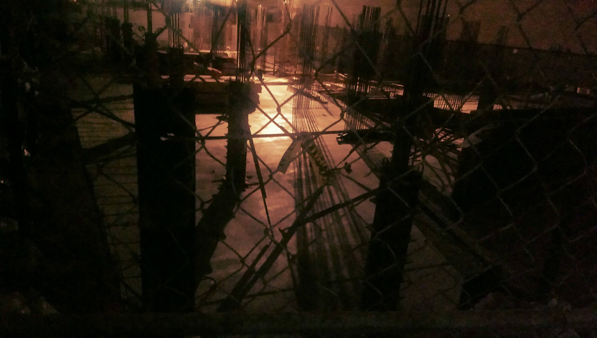 IMAG7259_1_1.jpg image