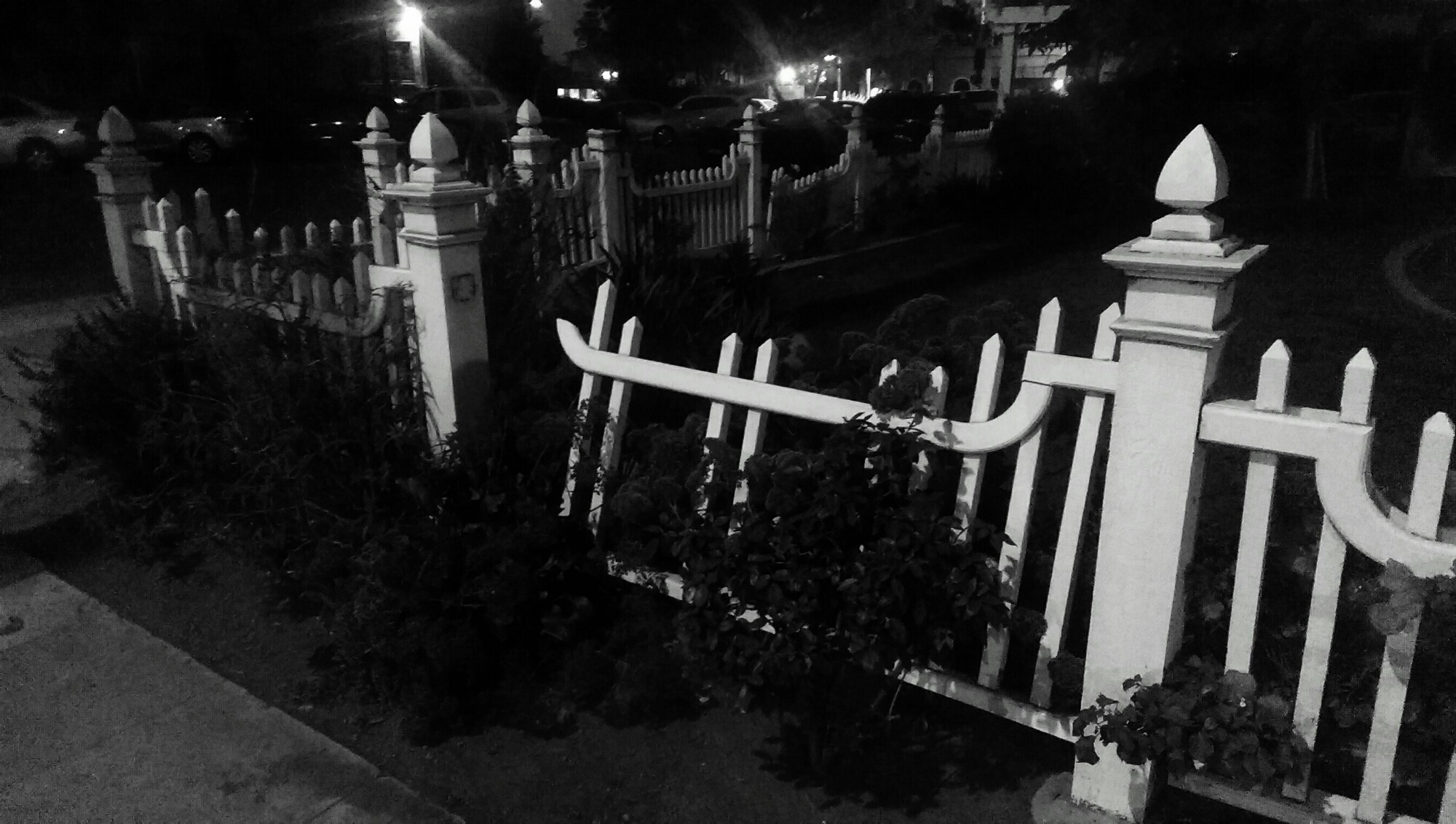 IMAG7275_1.jpg image