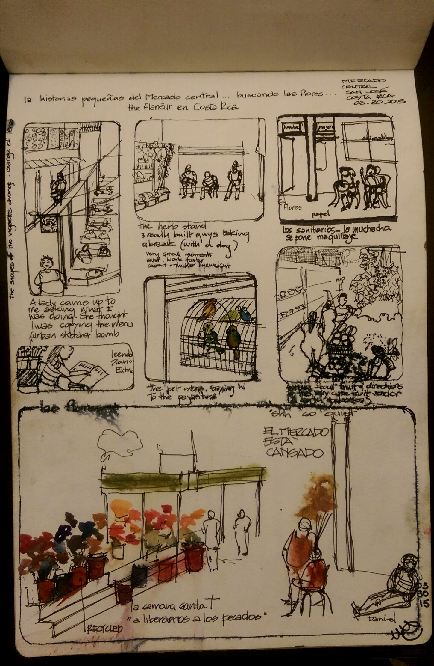 wp-1429476387503 image