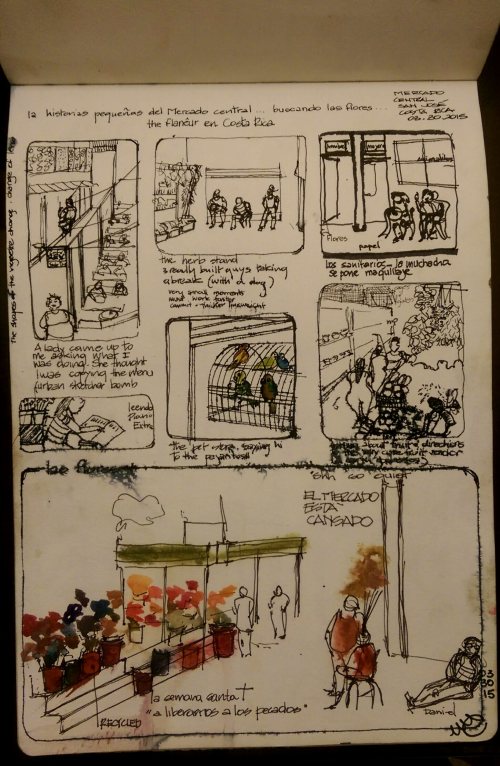 wp-1429476387503 image