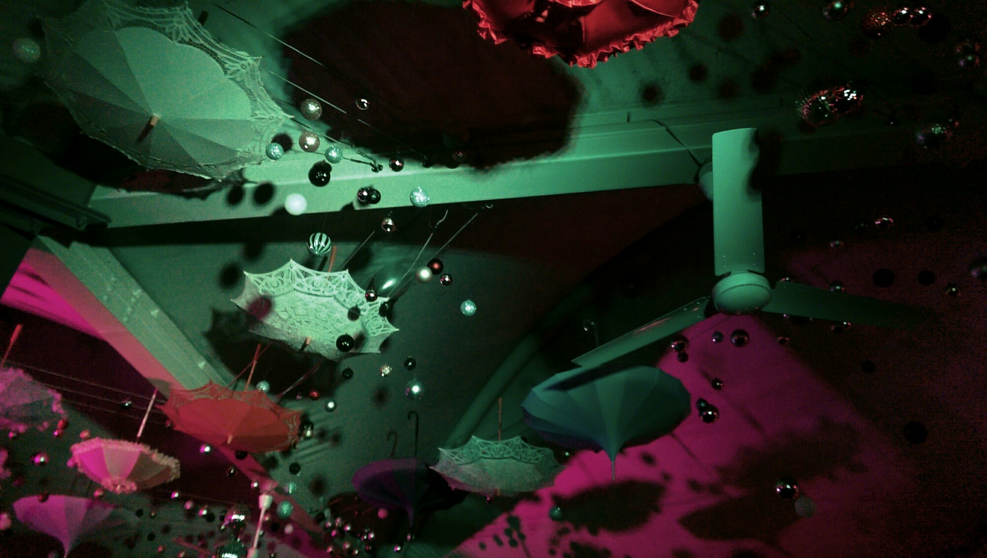 IMAG3175_1.jpg image