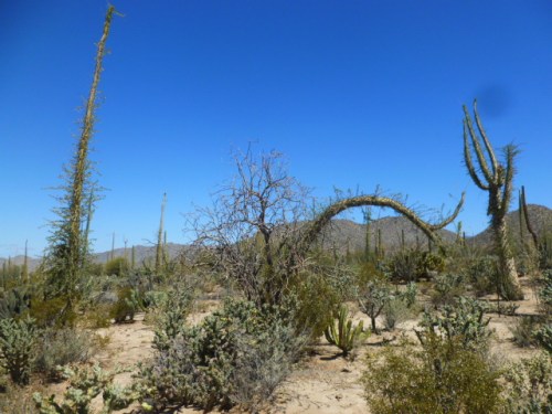 The_Supplicants_miti